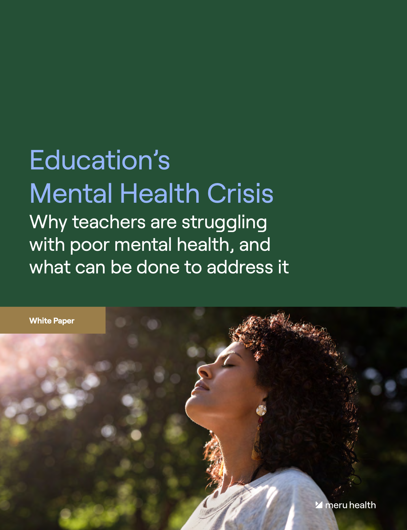 MER-EducationWP-thumb